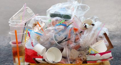 La organización ambientalista WWF pide la prohibición global de productos plásticos de corta duración