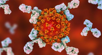 El 95% de personas contagiadas de Covid desarrolla anticuerpos, según estudio