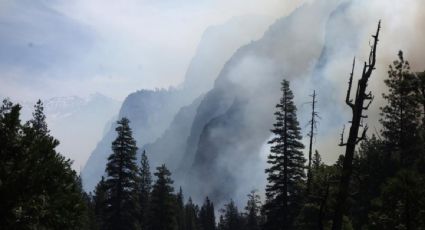 Estudio de la Unesco demuestra que 10 bosques emiten más dióxido de carbono del que absorben