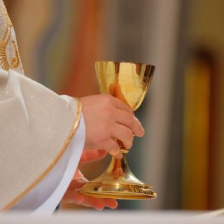 Vaticano señala a obispo de San Diego de visitar club de striptease en Tijuana durante años