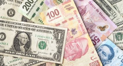 UIF congela cuentas de diputada morenista sancionada por el Departamento del Tesoro de EU