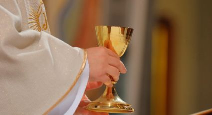 Comienza excavación de una fosa común en Irlanda con los cuerpos de casi 800 bebés