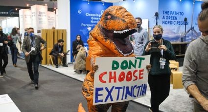 Organizaciones ecologistas dicen que al acuerdo de la COP26 le faltan "compromisos firmes y concretos"