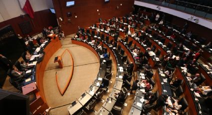 Desalojan a reporteros durante la discusión en el Senado sobre la comisión especial en Veracruz