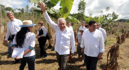 AMLO asegura que el pacto mundial contra la deforestación salió de su programa Sembrando Vida