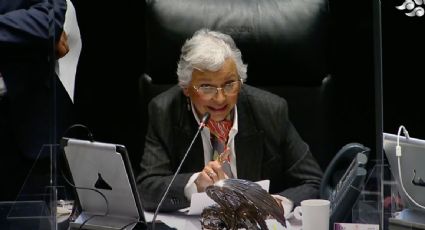 Oposición en el Senado insiste a Sánchez Cordero que impugne el decretazo de AMLO