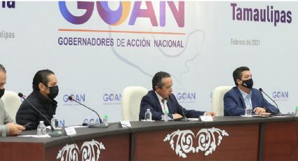 Nadie querrá invertir en México si se aprueba la reforma a la ley eléctrica, advierte GOAN