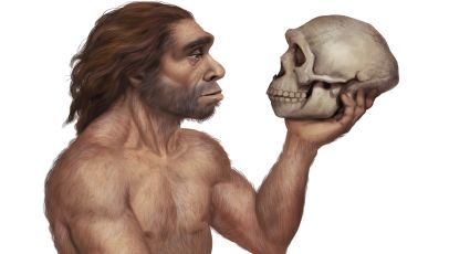 Descendientes de neandertales tienen menor riesgo de infección grave por Covid-19, revela estudio