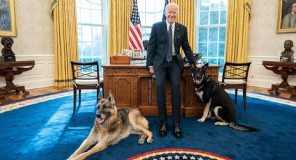 Joe Biden presume a sus perros descansado en el Despacho Oval de la Casa Blanca