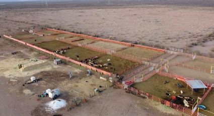 Juez entrega rancho de César Duarte, de 30 mil hectáreas, al gobierno de Chihuahua