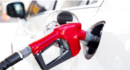 Gasolinas marcan su mayor precio histórico, pese a aumento de estímulo económico de Hacienda, de acuerdo con Profeco