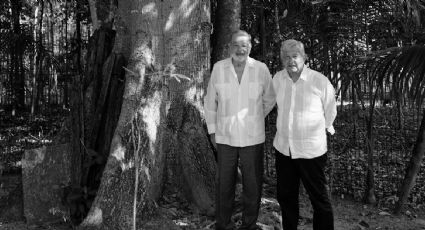 AMLO y Slim evalúan avance del Tren Maya en Tabasco