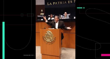 Tribunal Electoral de Guerrero ordena a Morena retomar denuncia de Basilia Castañeda contra Félix Salgado