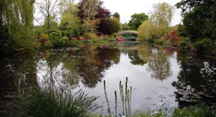 Tras seis meses cerrados, los jardines de Giverny que inspiraron a Monet reabren este miércoles