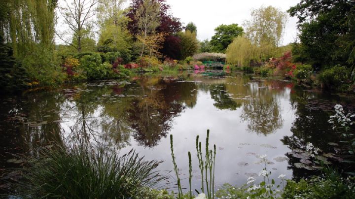 Tras seis meses cerrados, los jardines de Giverny que inspiraron a Monet reabren este miércoles
