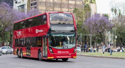 Metrobús inicia mañana miércoles servicio exprés en tramo elevado de la L12 del Metro