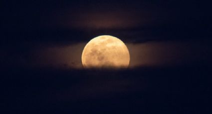 Esta noche será visible la última Superluna del año; la denominan ‘Luna de Fresa’