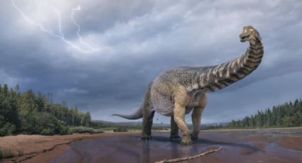 Científicos identifican nueva especie de dinosaurio, el más grande de Australia