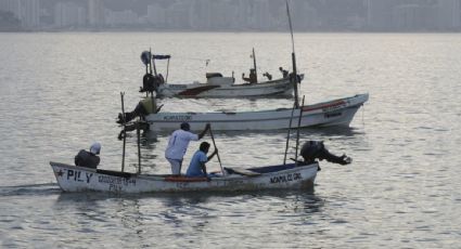 México sigue sin cumplir sus obligaciones del T-MEC en materia pesquera, según informe de Oceana