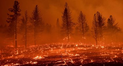 Cambio climático empeorará los desastres naturales en la siguiente década; sus consecuencias son irreversibles, alerta la ONU