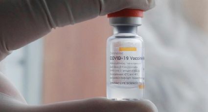 Vacuna de Sinovac es menos eficaz ante variantes lambda, gamma y alpha, según la Universidad de Chile