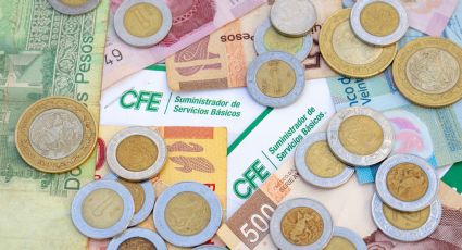 CFE dispondrá hoy de bono de 850 millones de dólares para refinanciar deuda