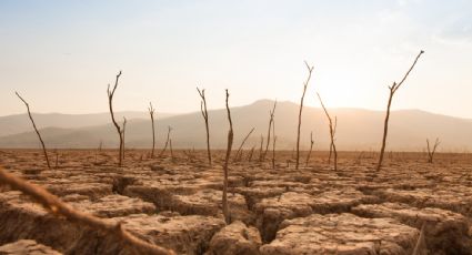 La humanidad ya acabó con los recursos naturales disponibles para 2021: Greenpeace