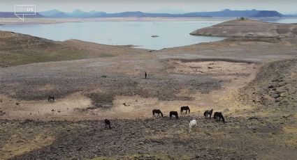 Ganaderos, agricultores y pescadores, en crisis ante sequía extrema en Sinaloa