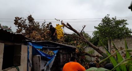Mantienen alerta de "peligro máximo" en Yucatán por tormenta "Grace"