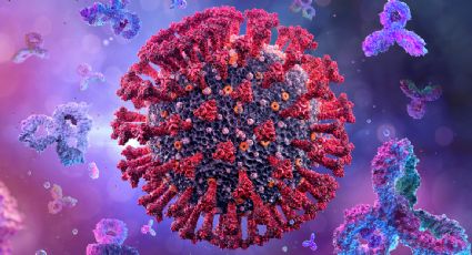 Expertos de la Universidad de California identifican proteína que permite que el coronavirus entre en las células humanas