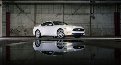 Ford lanza la edición especial Mustang Ice White; está limitada a mil 500 unidades