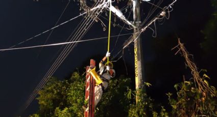 CFE restablece suministro eléctrico al 65% de usuarios afectados por "Grace" en Veracruz, Hidalgo y Puebla