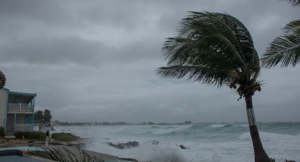 La tormenta tropical "Ida" se forma frente a las Islas Caimán y Jamaica; podría golpear EU como huracán