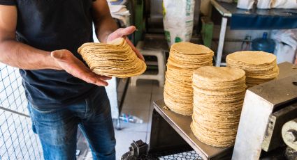 El director de Maseca se comprometió a no aumentar precios de la harina para las tortillas hasta febrero, asegura AMLO