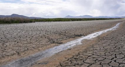 Imponen restricciones de agua a zonas agrícolas de California por grave sequía