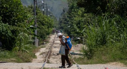 Hay 55.7 millones de personas en situación de pobreza, 3.8 millones más que en 2018: Coneval