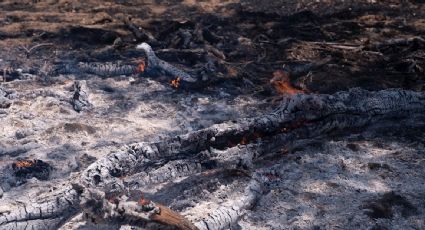 Incendios forestales en EU afectan desproporcionadamente a latinos, afirman activistas y ambientalistas