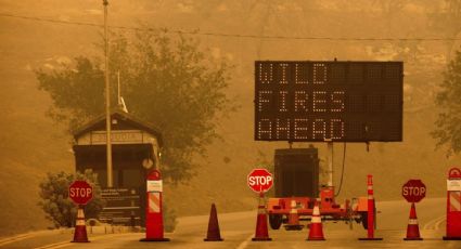 Incendios "Colony" y "Paradise" amenazan el Parque Nacional de Secuoyas, en California