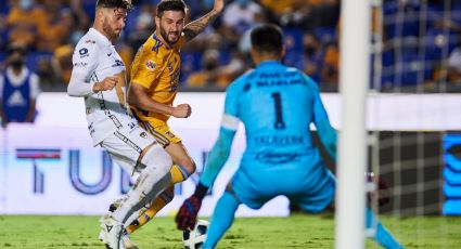 ¡Ternuritas! Tigres y Pumas se comportan como ‘lindos gatitos’ y no se hacen daño