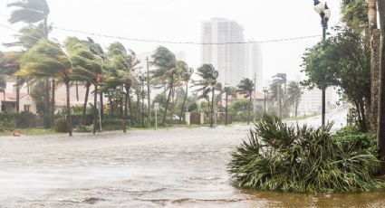 Se forma la tormenta tropical "Mindy" en el Golfo de México; provocará fuertes lluvias en Florida