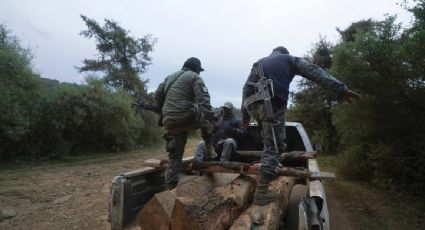 Aguacates, deforestación y cárteles van de la mano en Michoacán; el pueblo indígena de Cherán los mantiene a raya