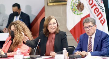 Con la reforma eléctrica "no se va a expropiar ni un tornillo", asegura Rocío Nahle