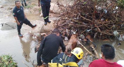 Confirman la muerte de una mujer que desapareció en las inundaciones por el ciclón “Julia" en Acapulco