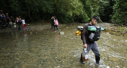Más de 200 mil migrantes han cruzado la selva del Darién, frontera entre Colombia y Panamá, rumbo a EU en lo que va del año