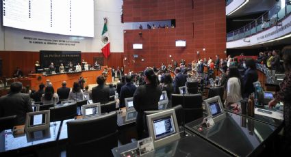 Es oficial: se extienden a 12 días consecutivos las vacaciones luego del primer año de trabajo tras aprobación en el Senado