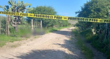 Hallan cuatro cuerpos en una carretera de Iguala, tres de ellos estaban desmembrados