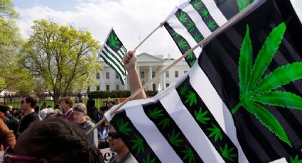 Maryland vota a favor de la legalización de la marihuana