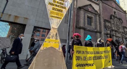 Greenpeace México exige a Ebrard mostrar una postura ambiciosa para proteger los océanos durante cumbre climática