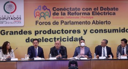 Grandes empresas desairan a diputados y no acuden a foro sobre reforma eléctrica; la ausencia es por las posturas radicales, dice Bachoco