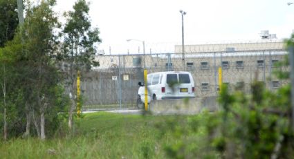 Redadas migratorias llegan al campo californiano: agentes corretean a los trabajadores entre los cultivos